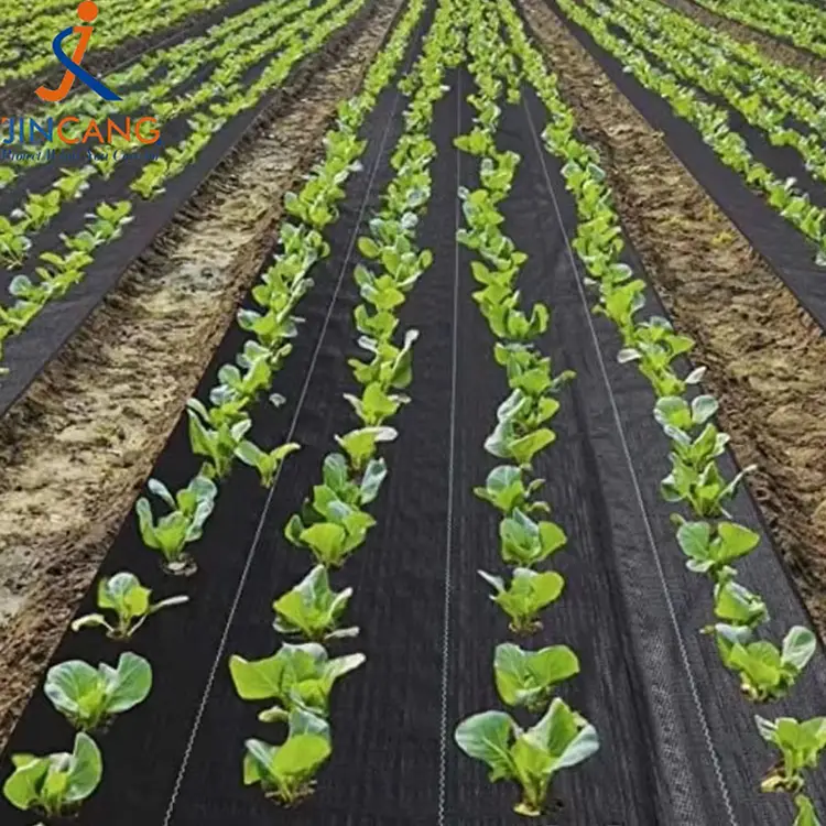 Трајна мат за коров